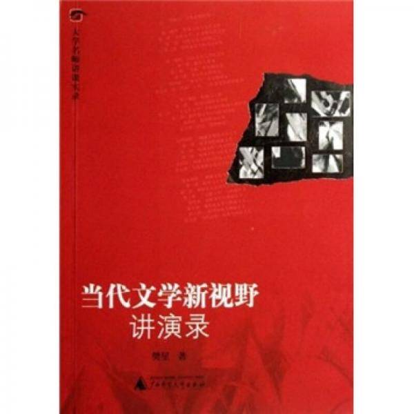 当代文学新视野讲演录
