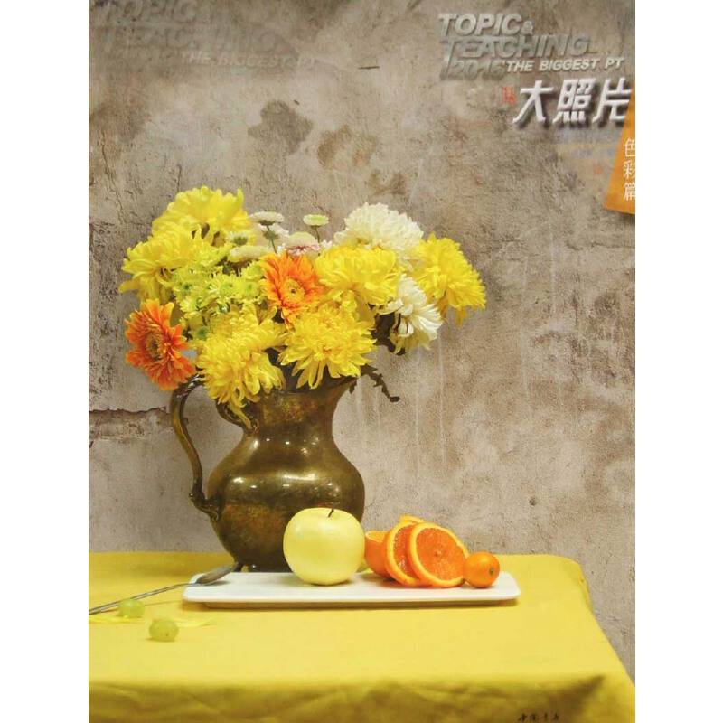 主题教学大照片系列丛书：大照片（色彩篇）