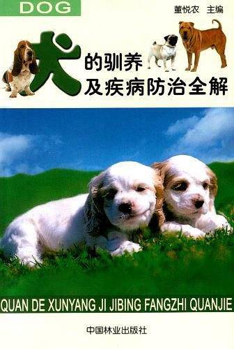 职场新人的入门忠告