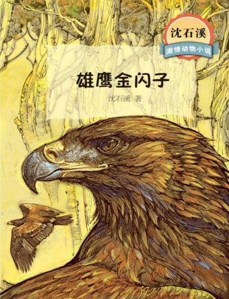 沈石溪激情动物小说 雄鹰金闪子