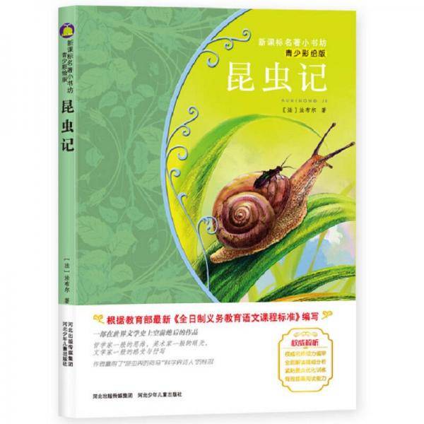 昆虫记 （青少彩绘版 新课标名著小书坊）