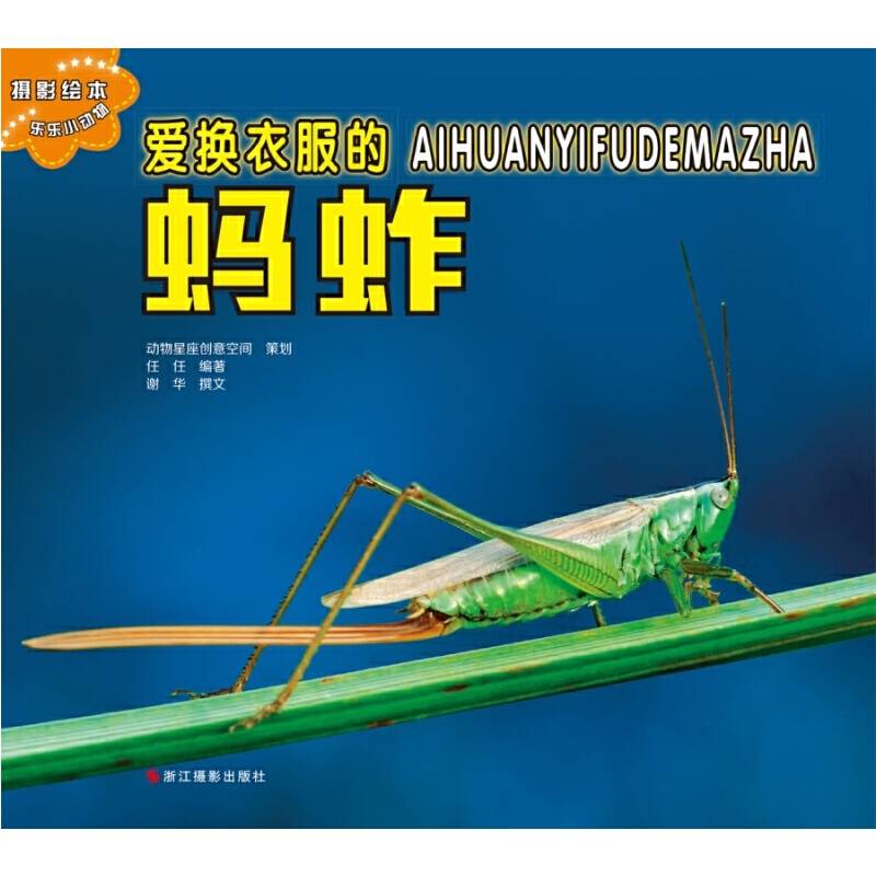 乐乐小动物：爱换衣服的蚂蚱