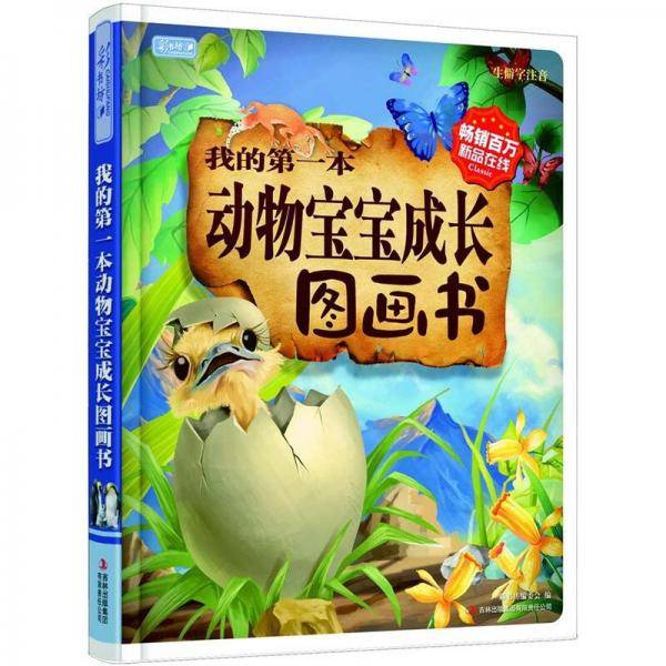 我的第一本动物宝宝成长图画书
