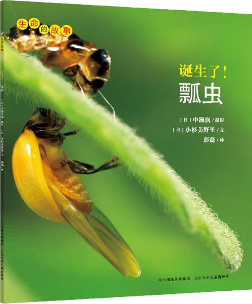 生命的故事：诞生了！瓢虫