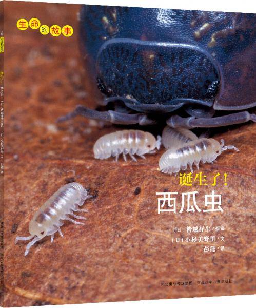 生命的故事：诞生了！西瓜虫