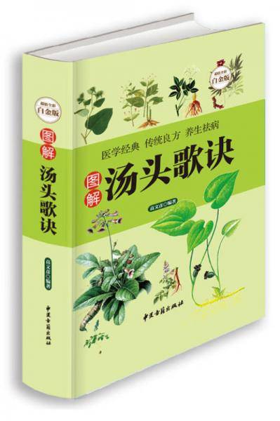 图解汤头歌诀 珍藏版中医养生疗养秘籍 中医基础理论古代经典中医学书籍 药剂学 民间家庭养生偏方秘方大全生活常识手册保健食疗