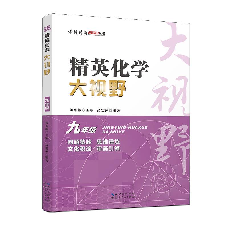 2023版精英化学大视野.九年级