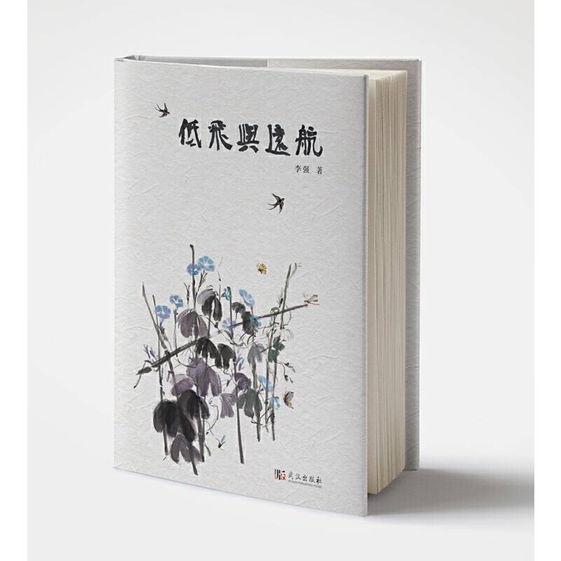 低飞与远航