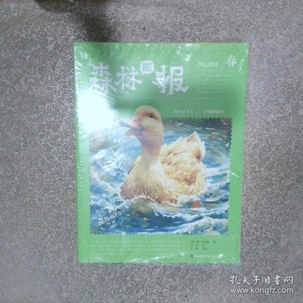 森林画报 春夏秋冬