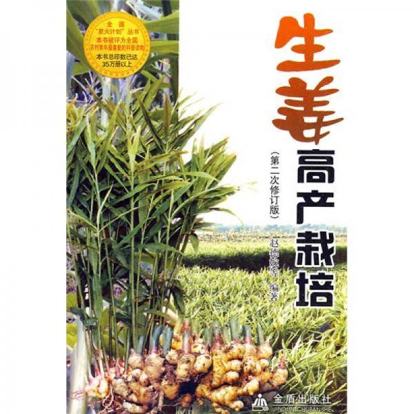 生姜高产栽培