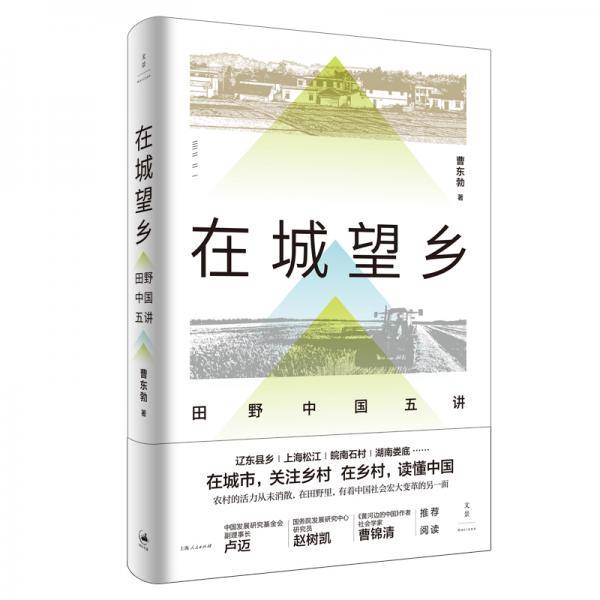 在城望乡:田野中国五讲
