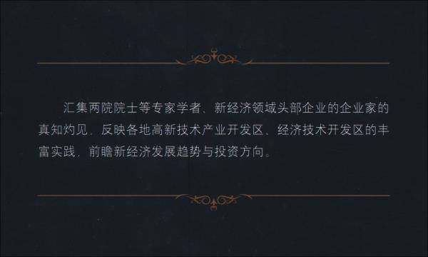中国新经济发展报告2020