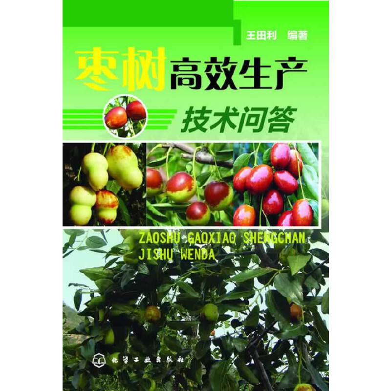 枣树高效生产技术问答
