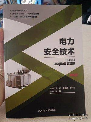 电力安全技术 双色版