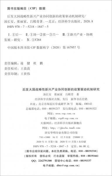 后发大国战略性新兴产业协同创新的政策驱动机制研究