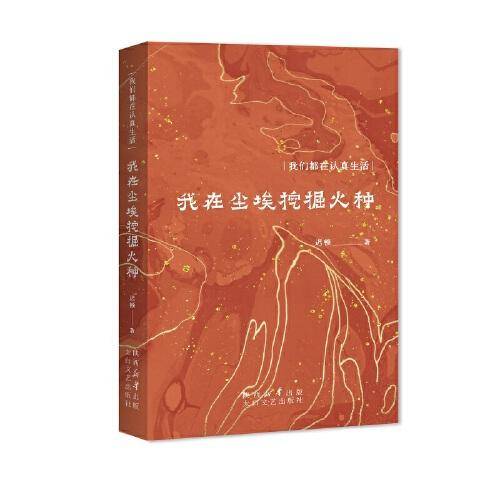 我在尘埃挖掘火种