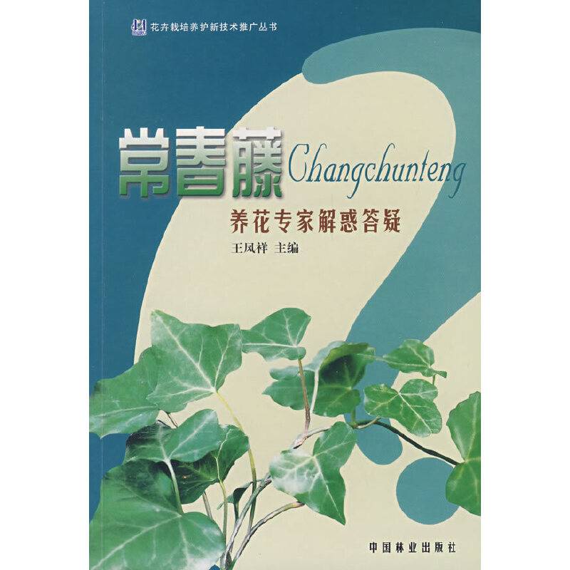 常春藤-养花专家解惑答疑