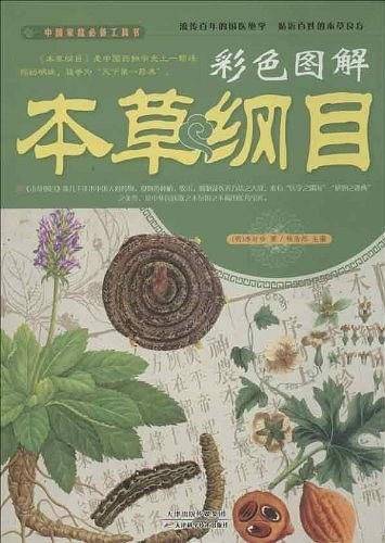 无书名