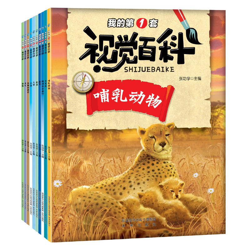 我的第一套视觉百科：哺乳动物