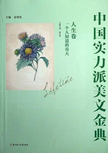 中国实力派美文金典