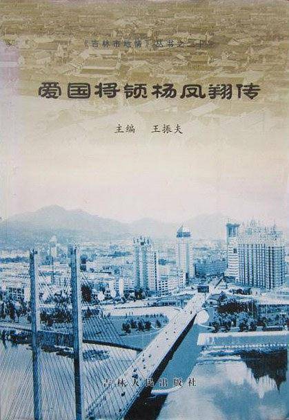 爱国将领杨凤翔传