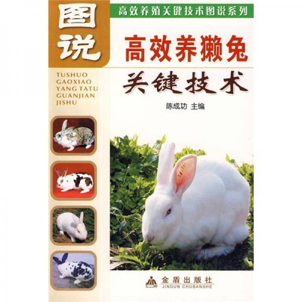 图说高效养獭兔关键技术