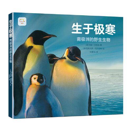 生于极寒:南极洲的野生生物