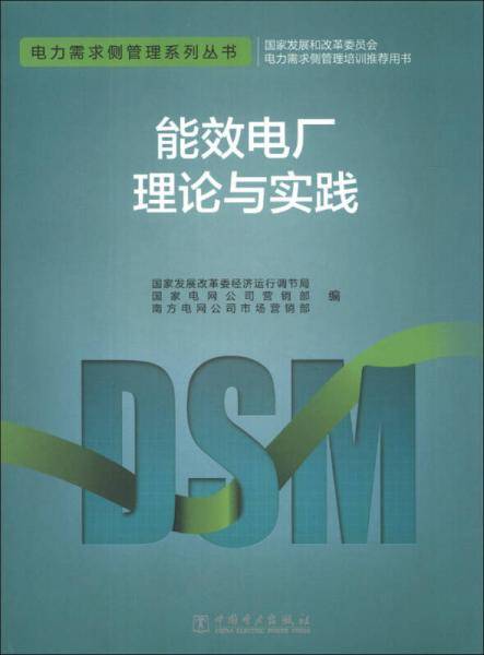 电力需求侧管理系列丛书：能效电厂理论与实践
