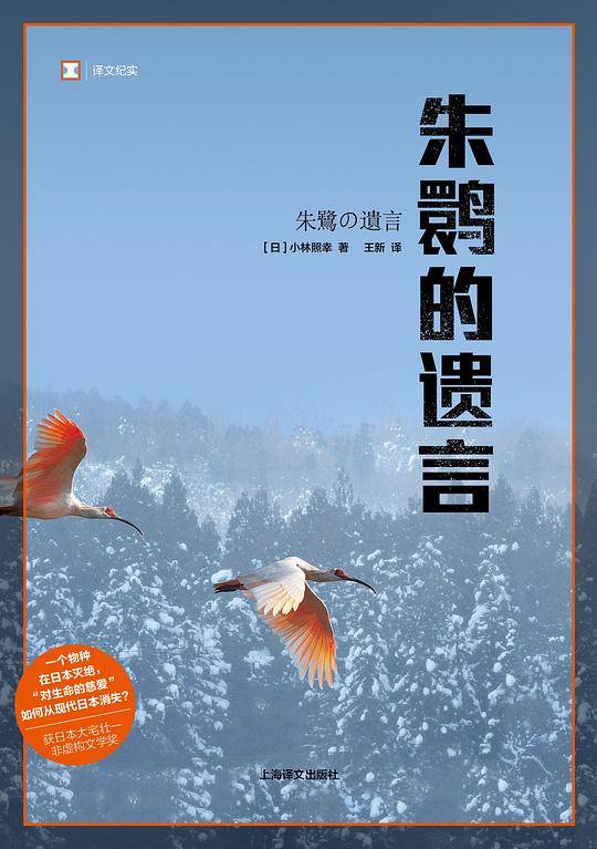 朱q的遗言