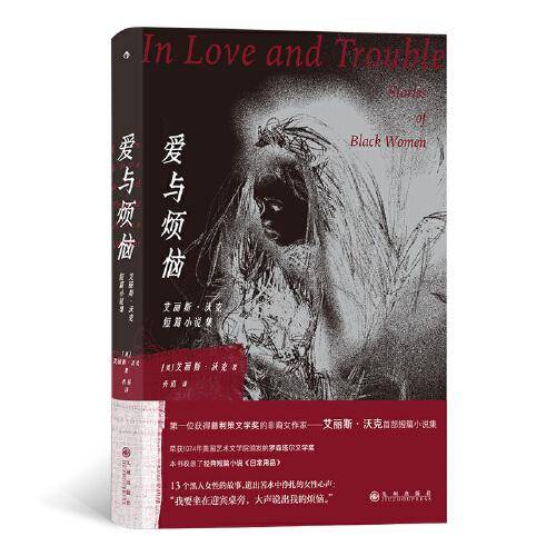 爱与烦恼 艾丽斯·沃克短篇小说集