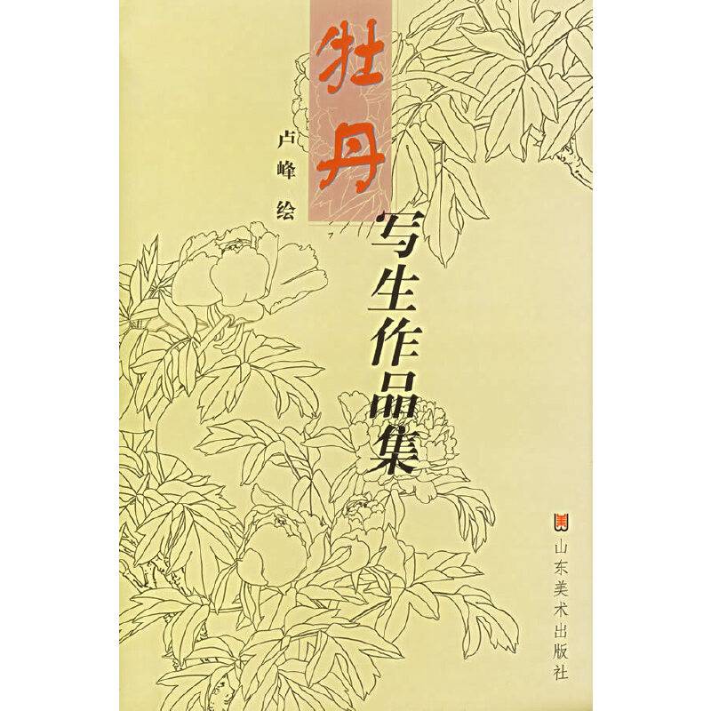 牡丹写生作品集