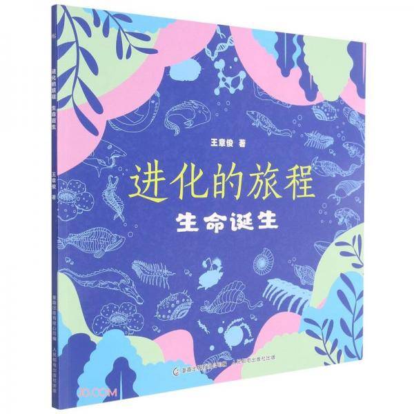进化的旅程(生命诞生)
