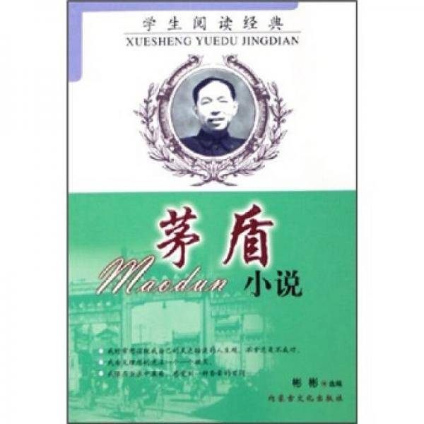 茅盾小说