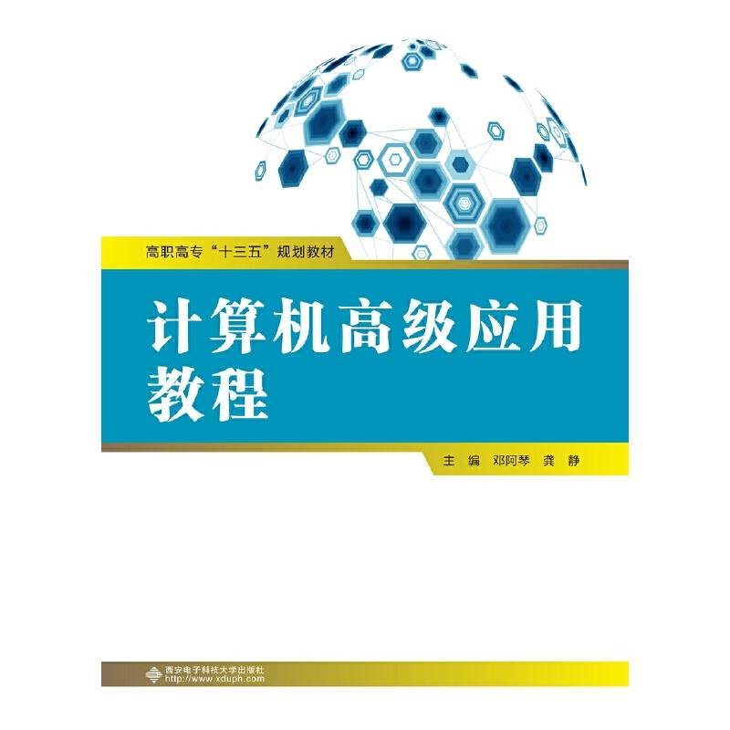计算机高级应用教程(高职)