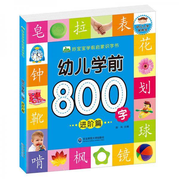 晨风童书 好宝宝学前启蒙识字书 幼儿学前800字进阶篇