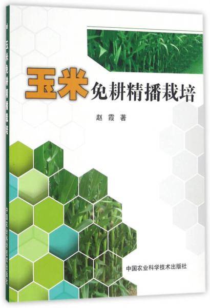 玉米免耕精播栽培