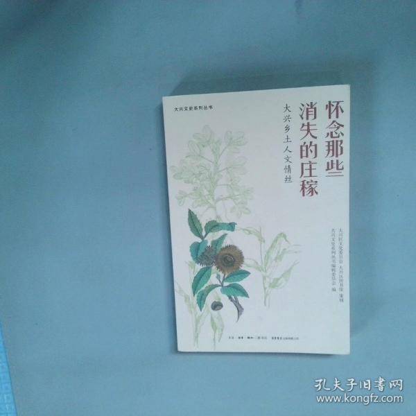 大兴乡土人文情丝