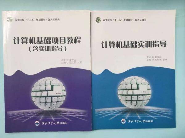 计算机基础项目教程：含实训指导