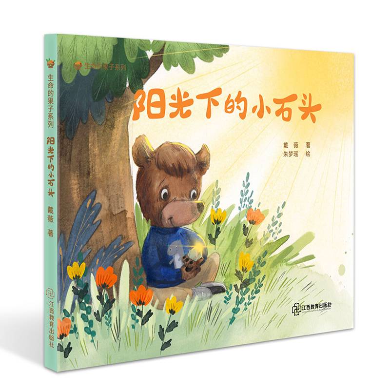 “生命的果子系列” 阳光下的小石头