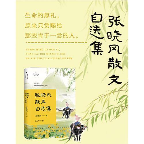 张晓风散文自选集（名家散文自选集·升级版）