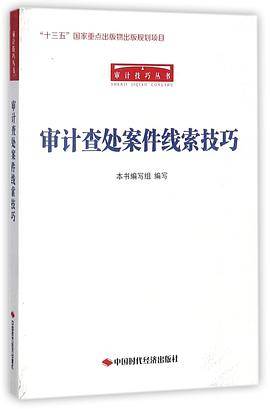 审计查处案件线索技巧/审计技巧丛书