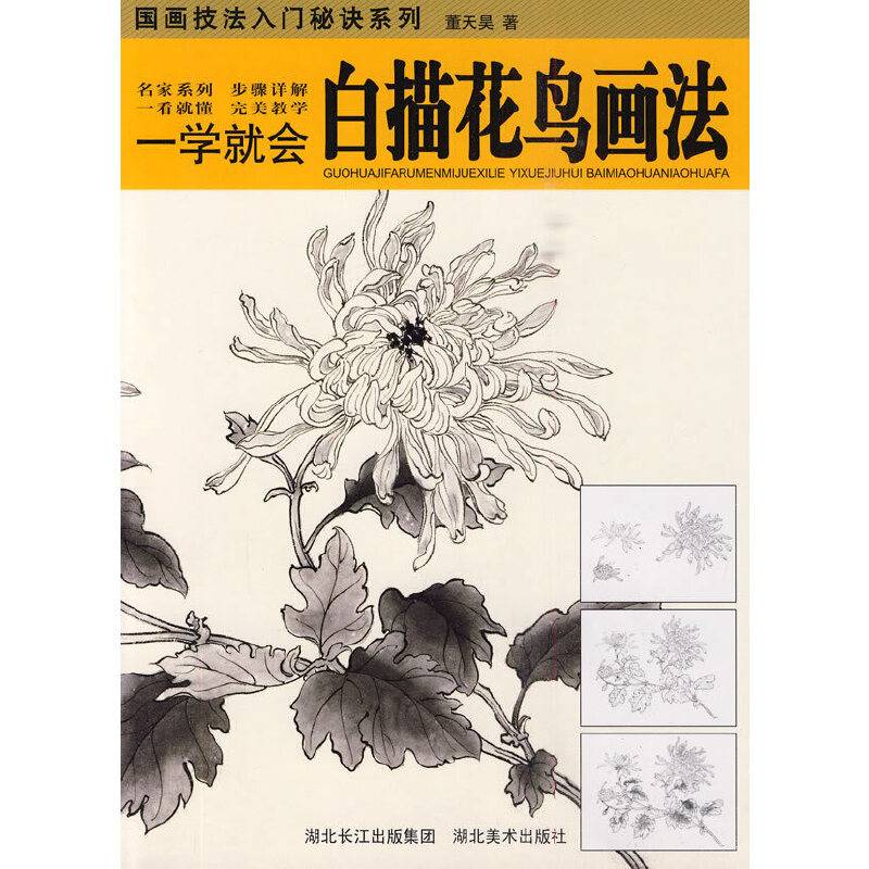 国画技法入门秘诀系列-一学就会.白描花鸟画法