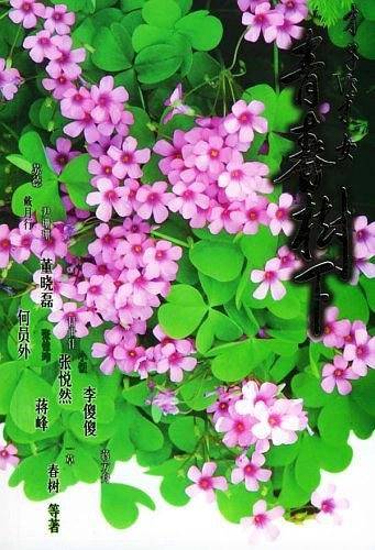 青春树下才子VS才女