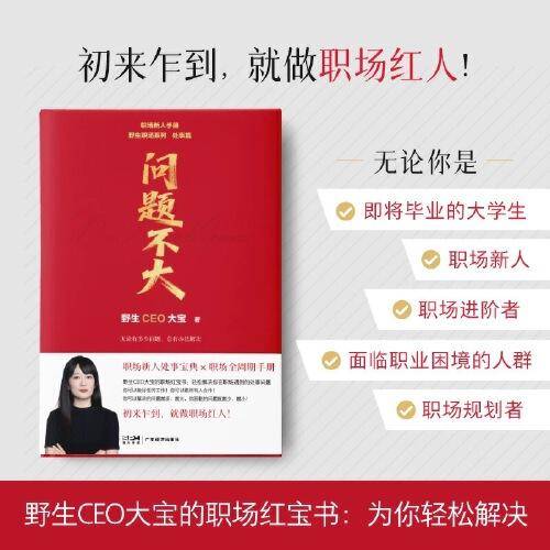 问题不大 野生CEO大宝 职场力作2025
