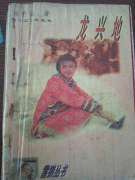 龙兴地