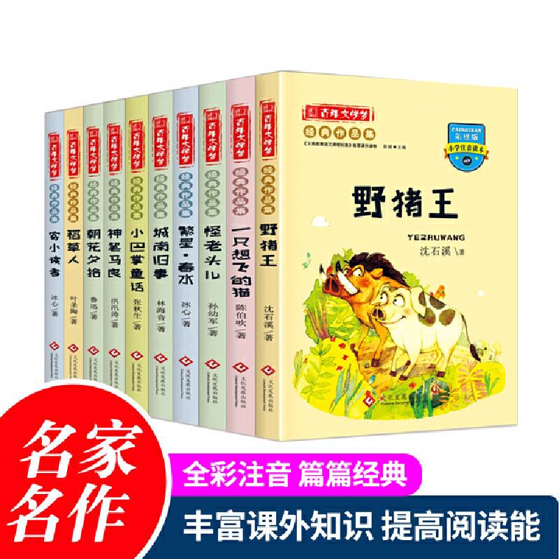 百年文学梦全10册