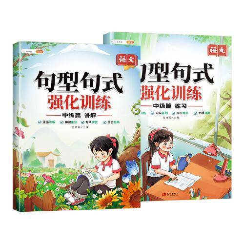 斗半匠句型句式强化训练中级 句子标点符号修辞手法关联词仿写扩句修改病句排序小学语文专项训练（2册）
