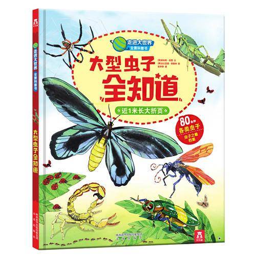 大型虫子全知道