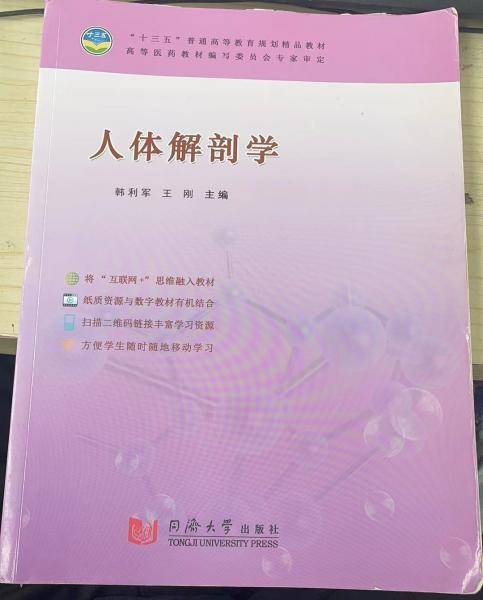 人体解剖学