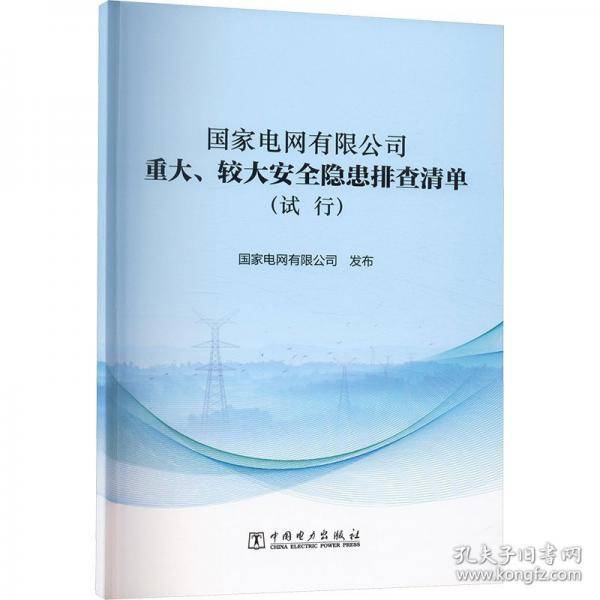国家电网有限公司重大、较大安全隐患排查清单(试行)